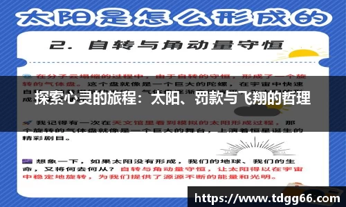 探索心灵的旅程：太阳、罚款与飞翔的哲理